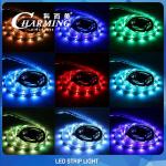 14W IP42 DC12V RGB LED Strip Light 10MM Width For Night Club for sale