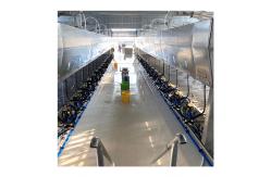 China Automatic Parallel Cow  Herringbone Milking Parlor Quick Release supplier