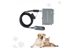 China Versatile 2-Output Portable Endoscope for Real-Time Diagnostics supplier