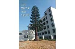 China Longlife 50m Camouflaged Cell Phone Tower Tree supplier