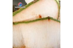 China 0.8KW Automatic Green Coconut Electric Peeling Machine Food Processor supplier