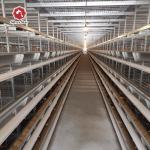 Modern Farm Q235A Steel Wire Poultry Cage For 200 Birds for sale