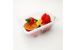 China OEM Polypropylene 20*14*5.5cm Disposable Fruit Tray supplier