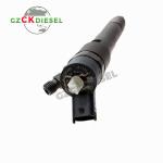 0445110509 0445110481 0445110512 Injector for FAW CA4D Truck 2.8L