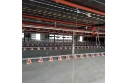 China 50Hz Pan Feeding System For Broiler Poultry Hopper Feeder Customizable supplier