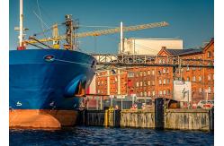 China Container Shipping From China To Oceania Freight Forwarder supplier