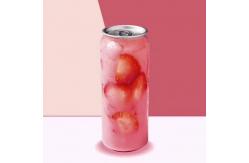 China 500ml 650ml PET Plastic Beverage Bottles With Aluminium Lid supplier