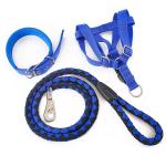 Nylon Pet Traction Rope Three Piece Set Teddy Gold Hair Chest Strap for sale