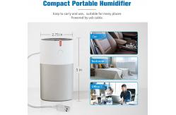 China Portable Quiet Desktop USB Air Humidifier 220ml Mini Small Home Humidifiers supplier