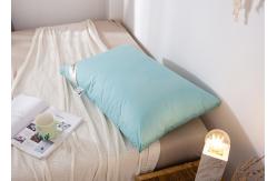 China 40s Plain Cloth 48x74cm Down Feather Pillows supplier