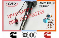 China Fuel Injector Assembly F00BJ00006 FOOBJ00007 0986435903 0986435614 For Qsk19 Engine supplier