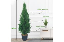 China Cypress High Density Bonsai Evergreen Artificial Plants 1.2m-2m supplier