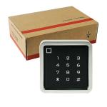 Lock Relay Wiegand Output 125KHz Rfid Entry Door Lock for sale