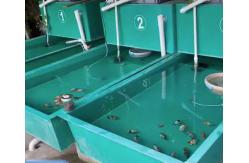China Handmade FRP Hand Lay Up Fiberglass Aquarium Tank Stackable UV Resistance supplier