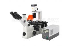 China Inverted Fluorescence Binocular Compound Microscopes 40X - 400X A16.0701 supplier