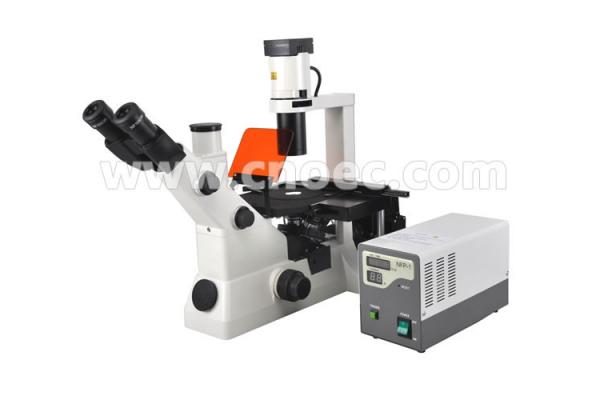 Inverted Fluorescence Binocular Compound Microscopes 40X - 400X A16.0701