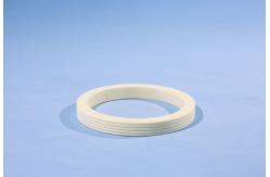 China Advanced Electronic Ceramic Ring for semiconductor supplier