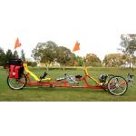 Two person Recumbent Trike for sale