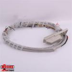 16137-119  Siemens  Moore APACS Interconnect I/O Cable - 8M