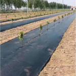 Permeable Weed Barrier Fabric Ideal for Orchards and Vineyards