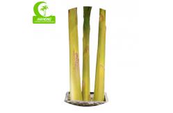 China Customized Banana Artificial Landscape Trees For Relax supplier