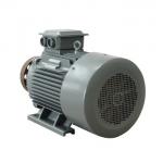 5-2000kw Rare Earth NdFeB Permanent Magnet Alternator China Factory for sale