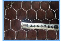 China 3/4 X 3/4 Electro Galvanized Hexagonal Chicken Wire Netting supplier