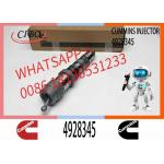 Injector Nozzle Assembly 4928345 4087886 4010029 4001830 QSK19 QSK23 QSK60 Engine Series for sale