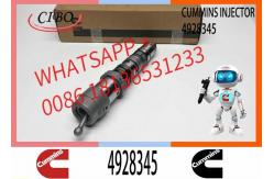 China Injector Nozzle Assembly 4928345 4087886 4010029 4001830 QSK19 QSK23 QSK60 Engine Series supplier