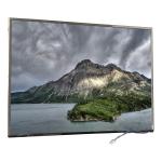 14.1 inch LTD141EM5F 1400*1050 TFT Laptop LCD Display for sale