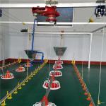 Broiler Poultry Feeding Equipment For Chicken House for sale