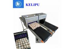 China Smart High Speed Egg Jet Coding Machine Printing 120000 Characters Per Hour supplier