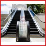 China Customized Moving Walk Escalator Parts Step / Handrail Lighting Skirting Panel manufacturer