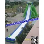 Giant Inflatable Water Slide For Adult , Hippo Inflatable Slide In Amusement Park