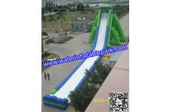 China Giant Inflatable Water Slide For Adult , Hippo Inflatable Slide In Amusement Park supplier
