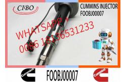 China Fuel Injector Assembly F00BJ00006 FOOBJ00007 0986435903 0986435614 For Qsk19 Engine supplier