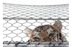China Ultrasonic Bath SS Wire Rope Zoo Mesh Tiger Fencing Flexible Light Weight supplier