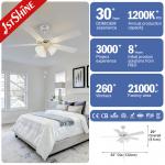 Lighting Solutions Service Lighting and Circuitry Design for 1stshine Ceiling Fan Light