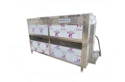 China 2000kg/h SUS304 Vegetable Screw Peeling Washing Machine supplier