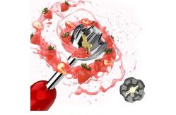 China Turbo Speed Stainless Steel Hand Held Blender With Two Release Button supplier