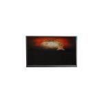 4.3 inch auo lcd panel H429AL02.0 540(RGB)×960 LCD Screen Display for Mobile Phone for sale