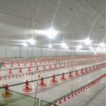 Poultry Farming Chicken Feeder Equipment Long Life for sale