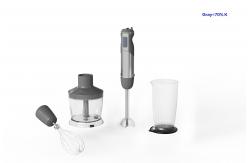 China DC Motor Commercial Handheld Blender 100V-240V For Home Appliance supplier