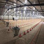 4m/Set Broiler Equipment for sale
