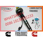 Common Rail Fuel Injector 2882078 F00BJ00002 Fuel Injector For QSK50 QSK60 K19 KTA19 QSK19 Engine for sale