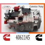 Diesel Engine Parts Fuel Injection Pump 4061145 4061206 4061228  For Cummins NTA855 for sale