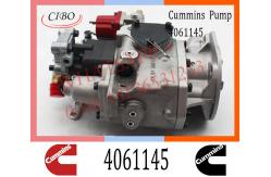 China Diesel Engine Parts Fuel Injection Pump 4061145 4061206 4061228  For Cummins NTA855 supplier