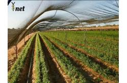 China Anti UV Sun Shade Net Durable Garden Shade Net 50m - 100m Length supplier