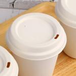 8 16oz Biodegradable Bagasse Cup Compostable Paper Coffee Cup With Lid