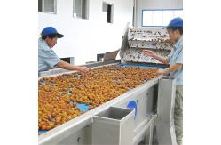 China Juice Extractor Machine Fruit Juice Processing Line 20T/D－2000T/D Capacity supplier
